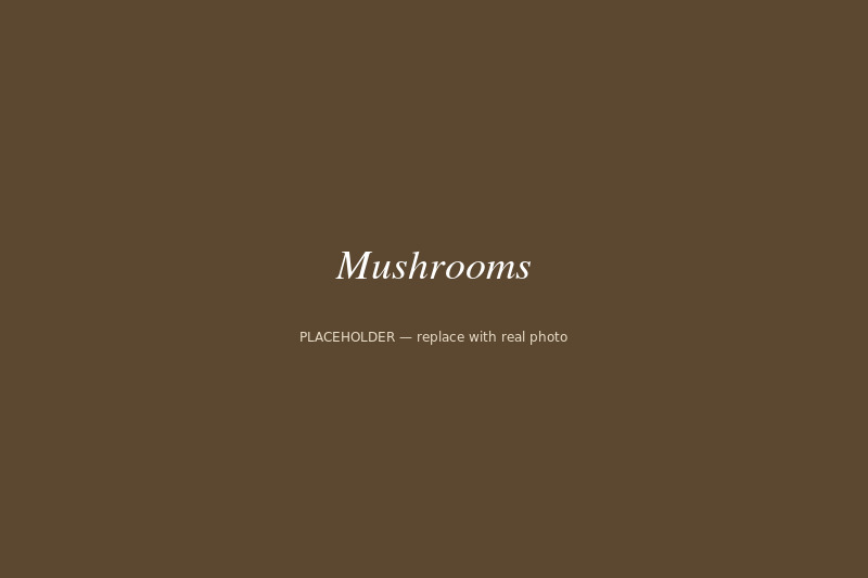 Forager's basket of wild mushrooms